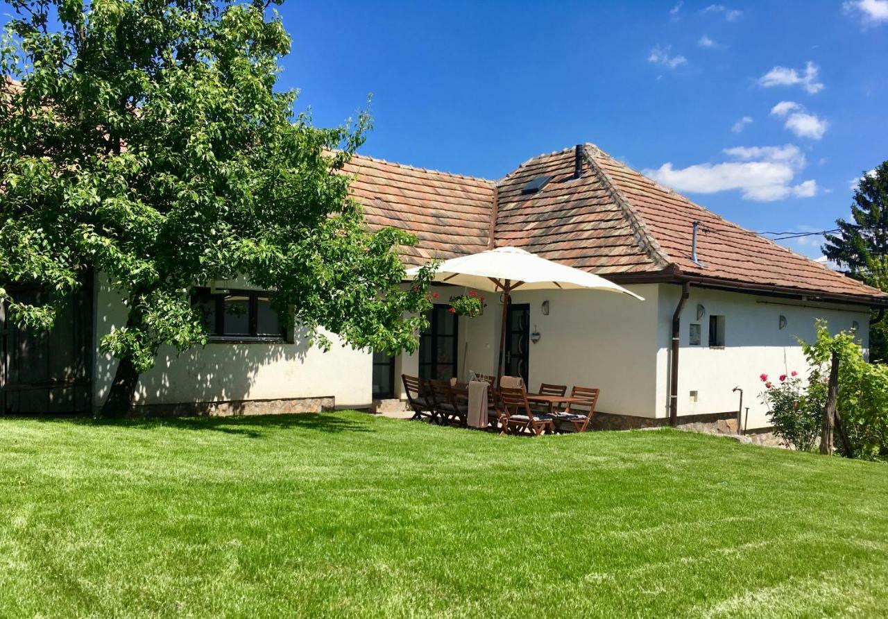 Rakoczi12 Vendeghaz Villa Holloko Exterior photo